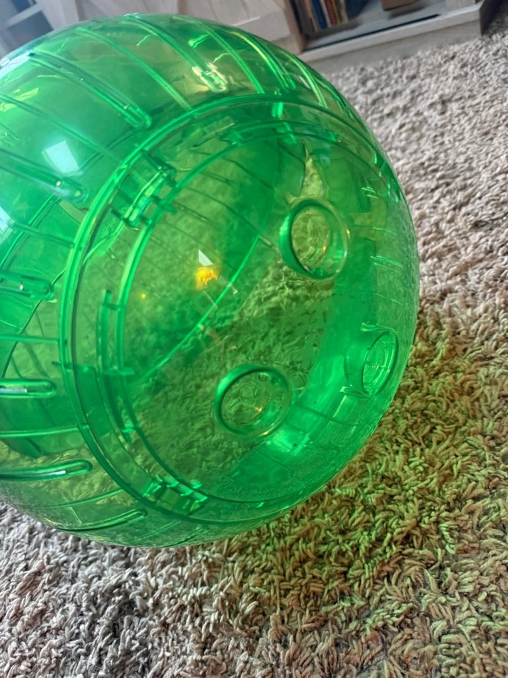 Green Transparent 12” Plastic rabbit-hedgehog-ferret-Guinea pig Exercise Ball